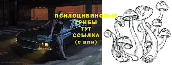 гидра Верхний Тагил