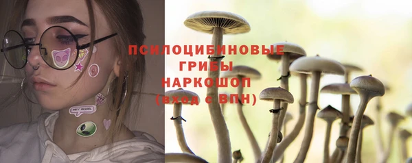 крисы Верея