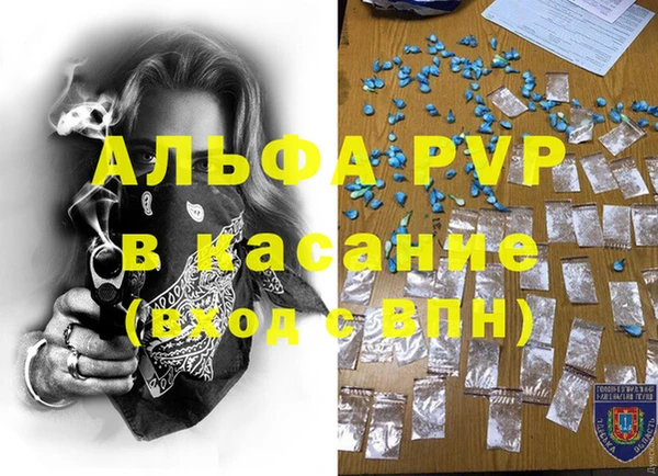 крисы Верея