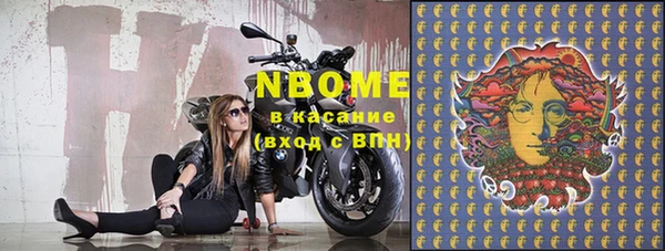гидра Верхний Тагил