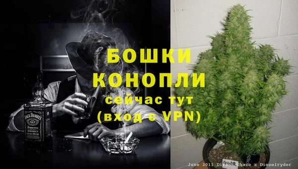 гидра Верхний Тагил