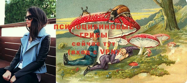 крисы Верея