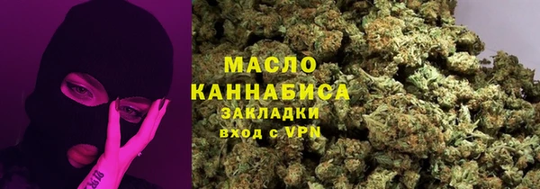 молекула духа Бородино
