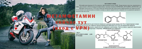 крисы Верея